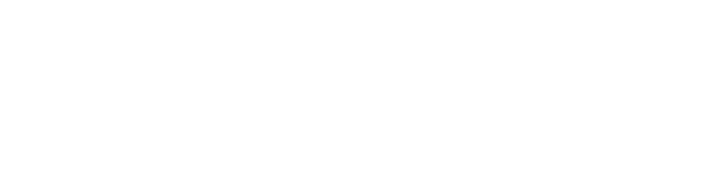 Blue Zone Marketing